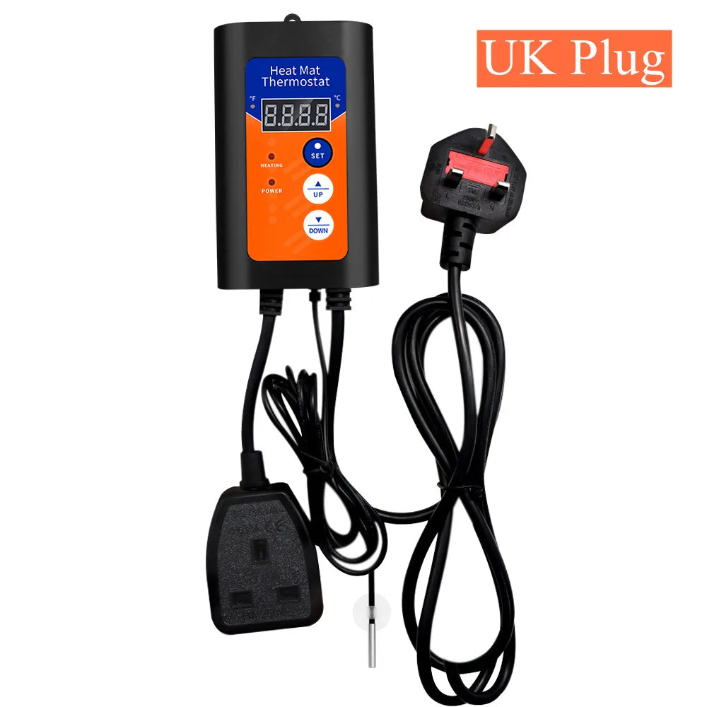 47896771920189|47896771952957