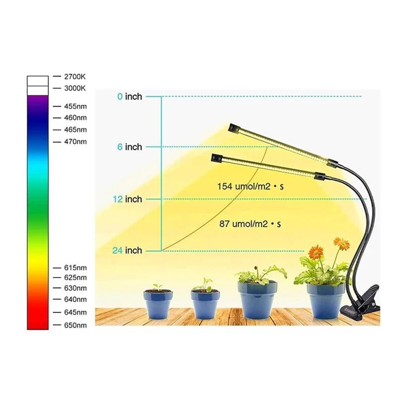 5 Pack Seedling Tray with Grow Light,Plant Seed Starter Trays Kit,Greenhouse Growing Trays with Holes 12 Cell Per Tray