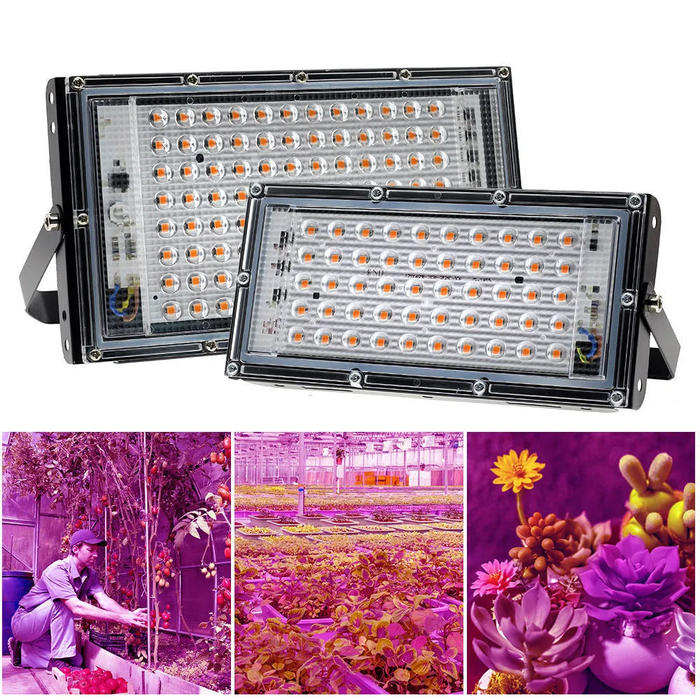 LED Grow Light Full Spectrum 220V 110V 50W 100W 380-440NM With EU Plug Led For Greenhouse Hydroponic Flower Seeding Phyto Lamp