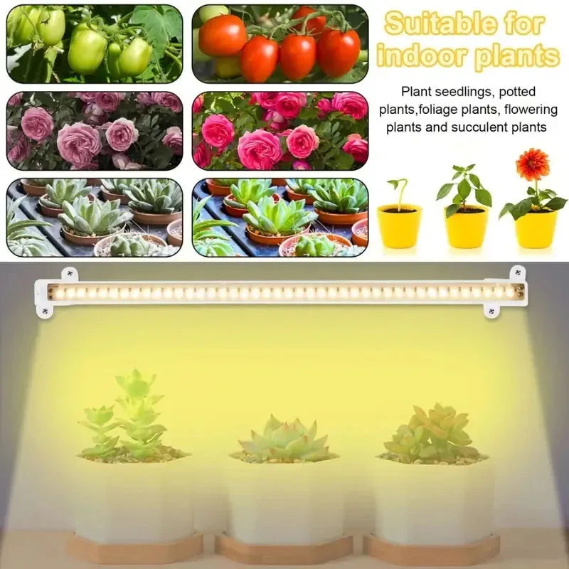 Led Grow Light USB Timer Phyto Lamp Plants Dimmable LED Lamp Phytolamps Full Spectrum Hydroponics Growing Lamps LED Plant Light