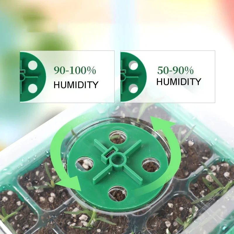 5 Pack Seedling Tray with Grow Light,Plant Seed Starter Trays Kit,Greenhouse Growing Trays with Holes 12 Cell Per Tray